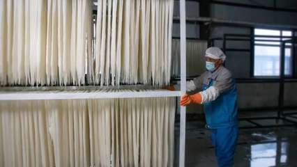 稅務賦能，非遺“活”起來 延邊稅務助力非物質文化遺產傳承與發展